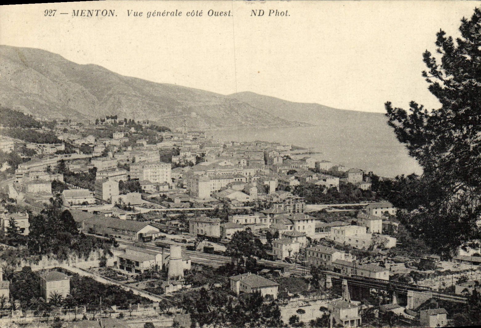 CPA Menton Vue Generale Cote Ouest