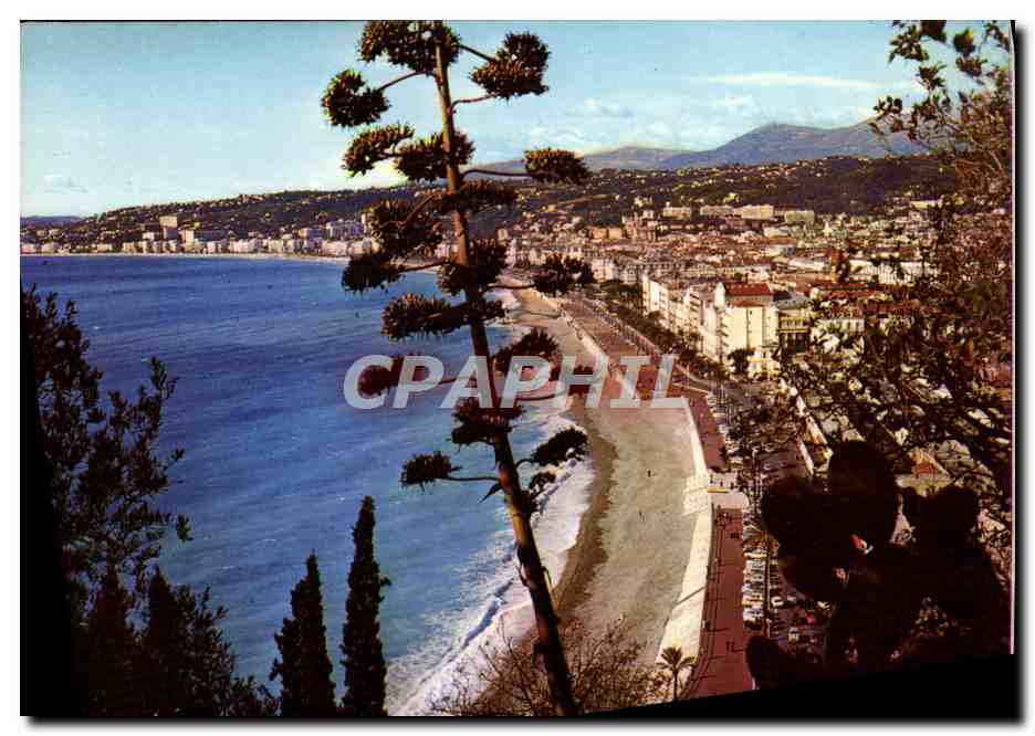 CPM Nice Vue Generale 