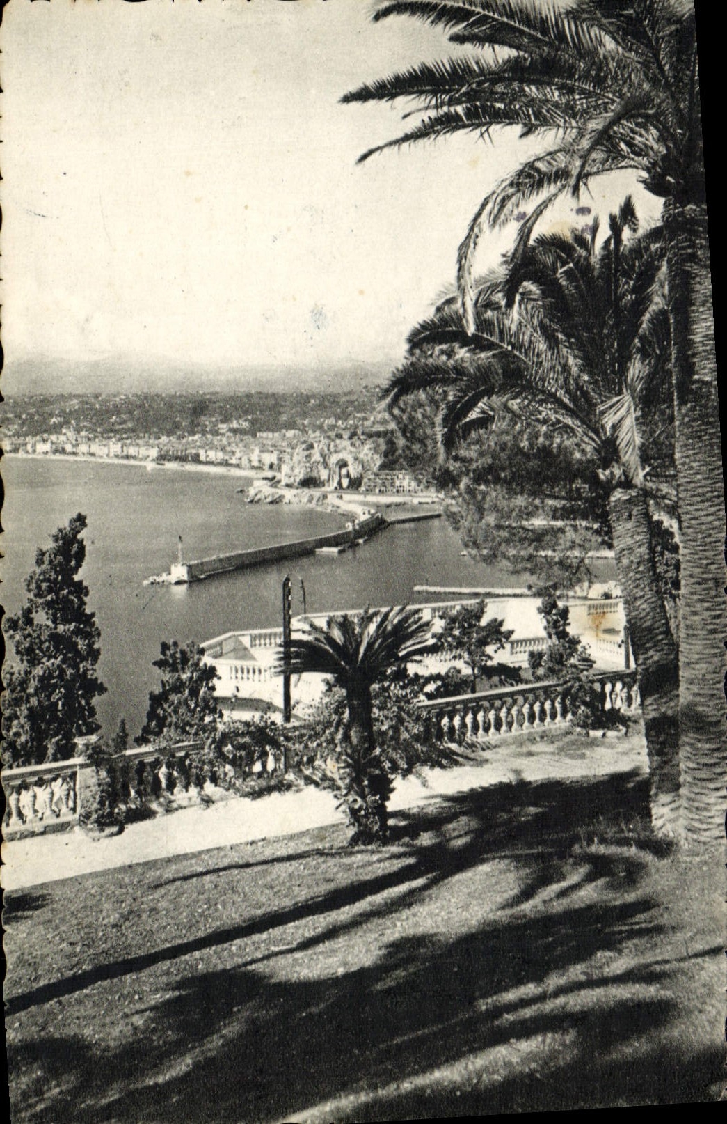 CPA Nice Vue prise du Mont Boron
