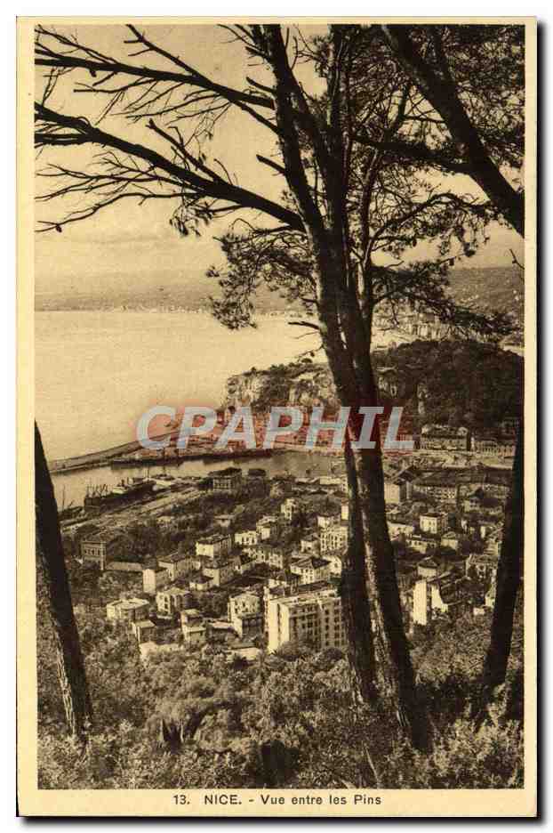 CPA Nice Vue entre les Pins 