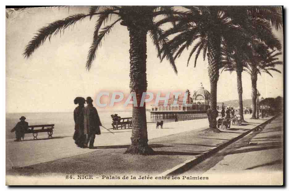 CPA Nice Palais de la Jetee entre les Palmiers 