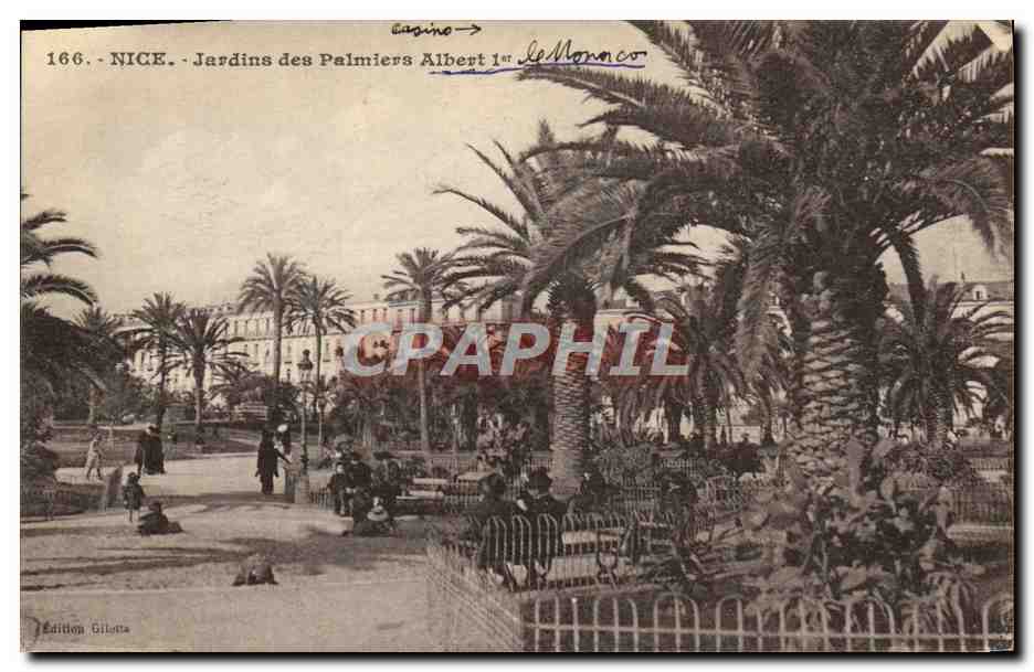 CPA Nice Jardins des Palmiers Albert 1er 