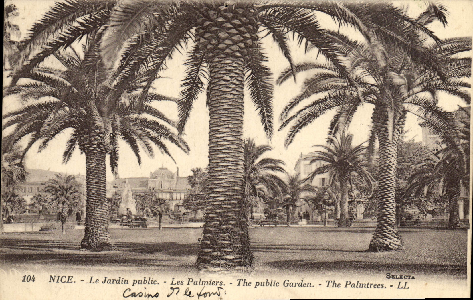 CPA Nice Le Jardin Public Les Palmiers 