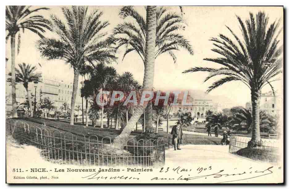 CPA Nice Les Nouveuax Jardins Palmiers 