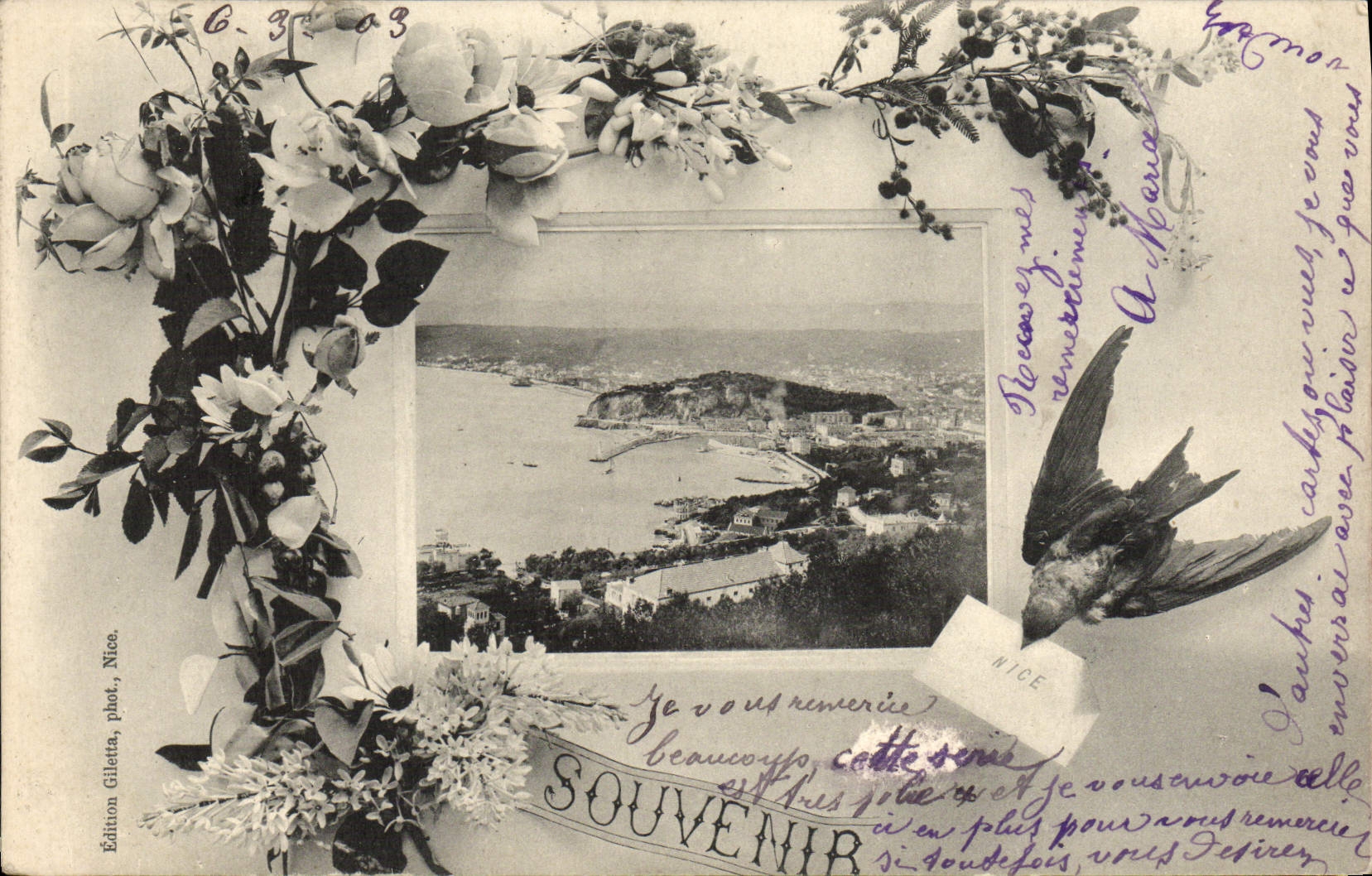 CPA Souvenir de Nice Oiseau