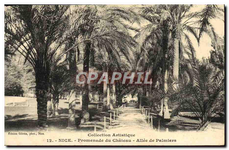 CPA Nice Promenade du Chateau Allee de Palmiers 