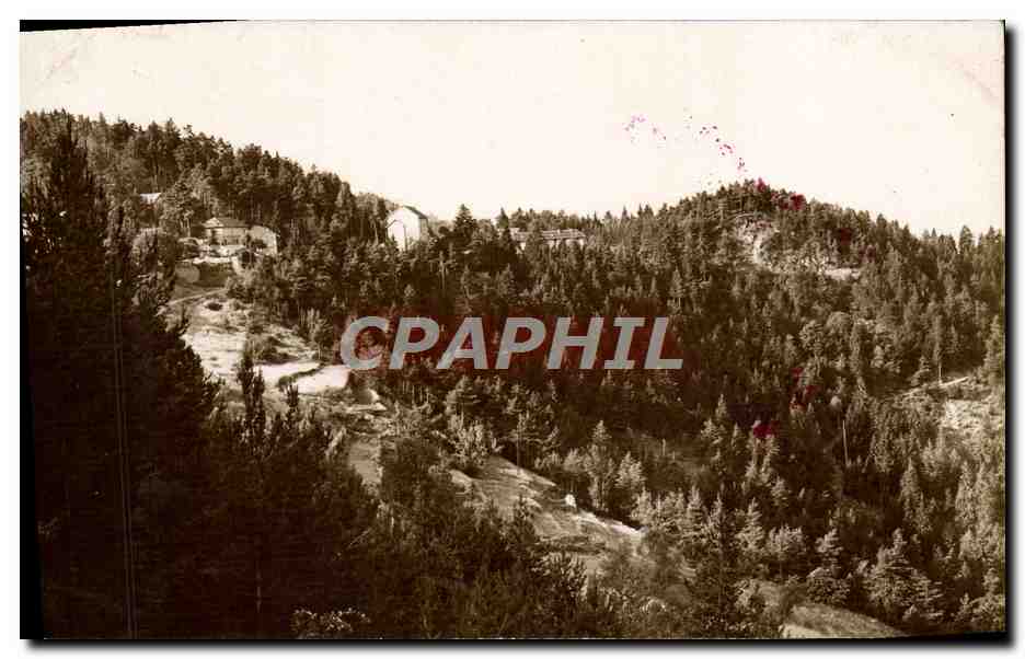 CPA Peira Cava La foret de sapins 