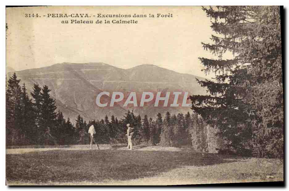 CPA Peira Cava Excursions dans la Foret au Plateau de la Calmette 