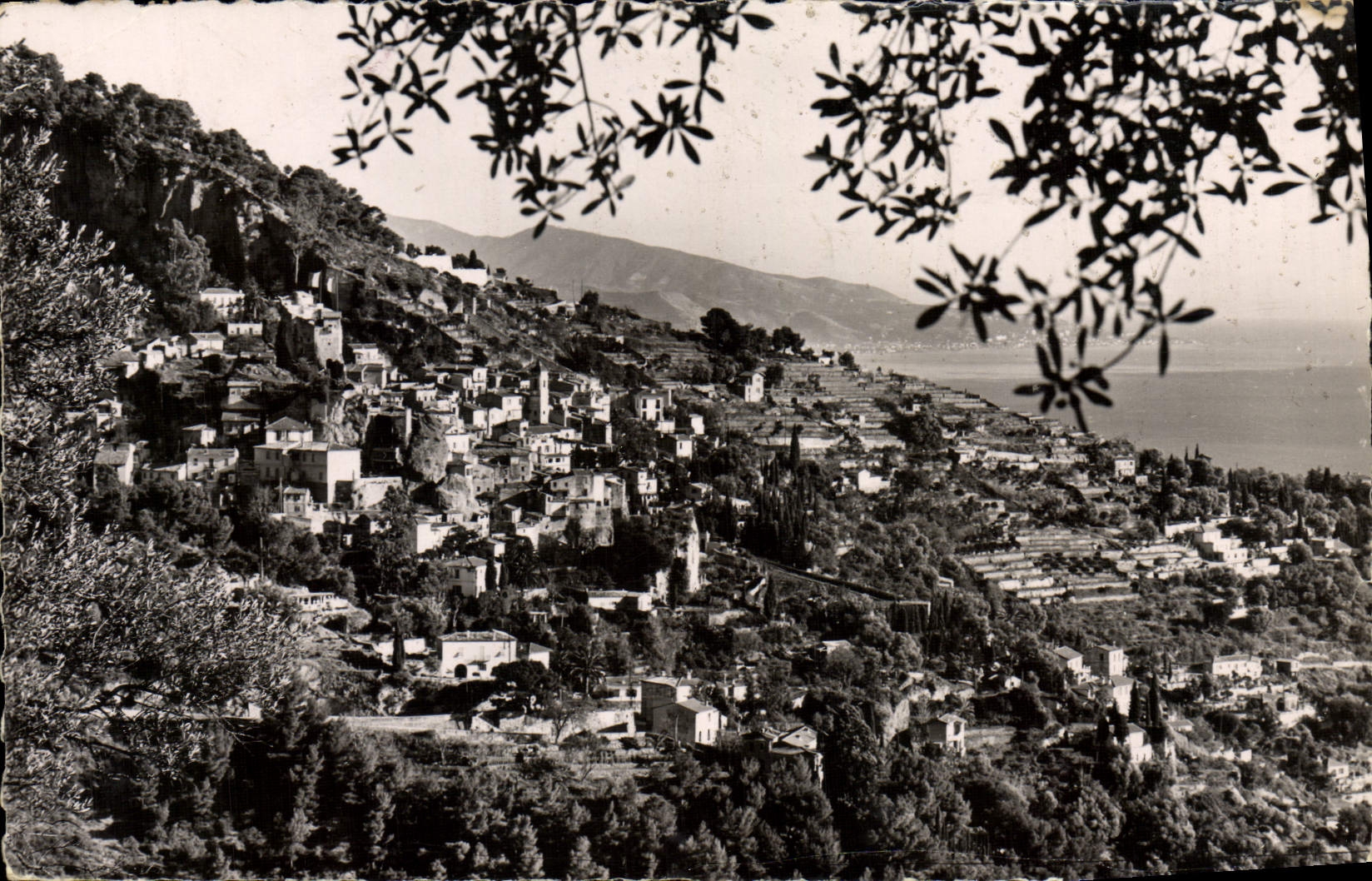 CPM Roquebrune Vue generale Les alpes italiennes 