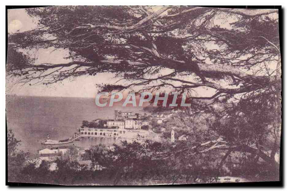 CPA Saint Jean Cap Ferrat Le port 