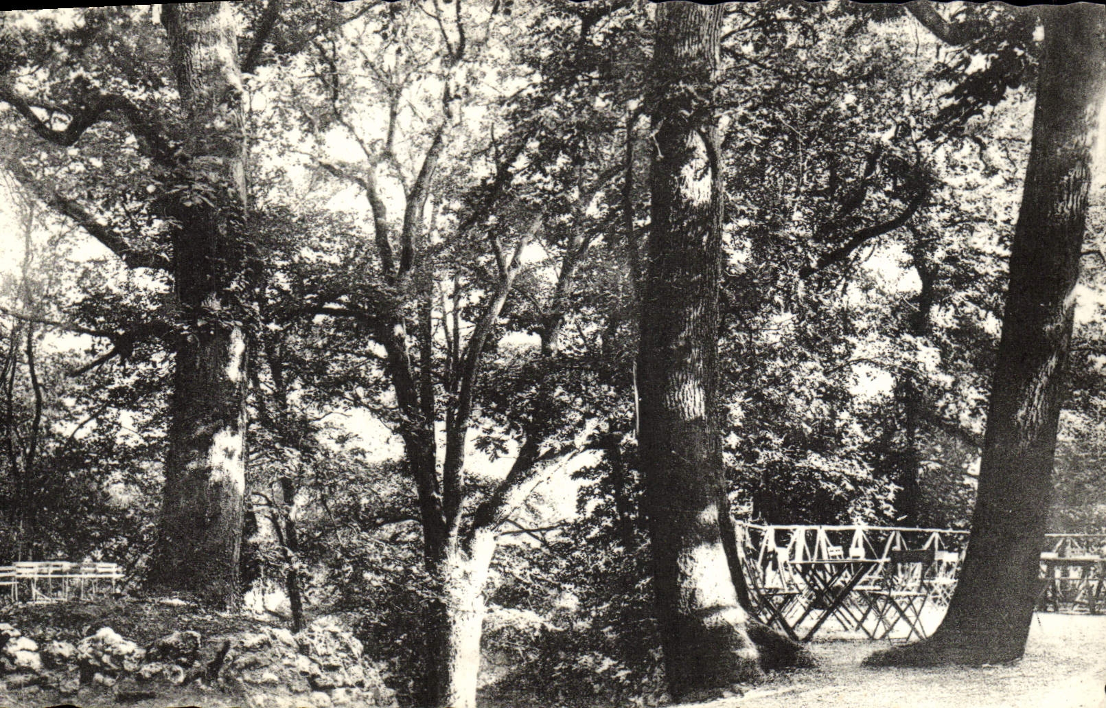 Les Terrasses vues de l'Entrée des Grottes — ARCY-sur-CURE (Yonne) — Édition d'Arcy-sur-Cure