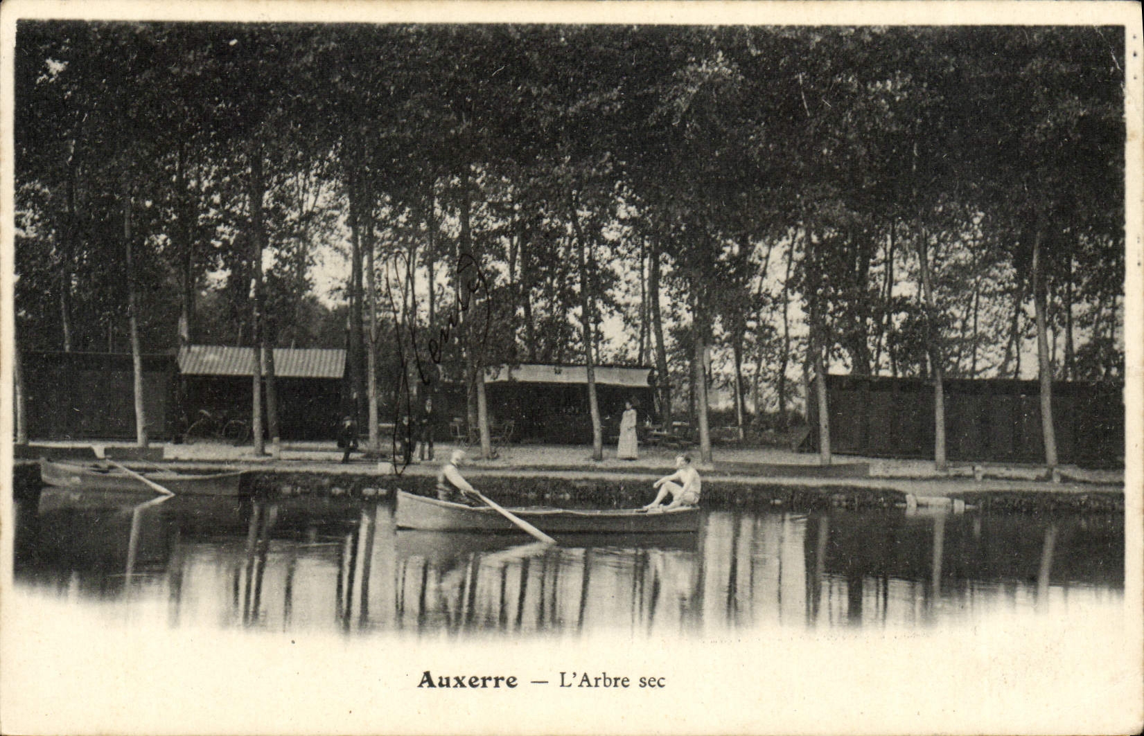 CPA Auxerre L'Arbre Sec