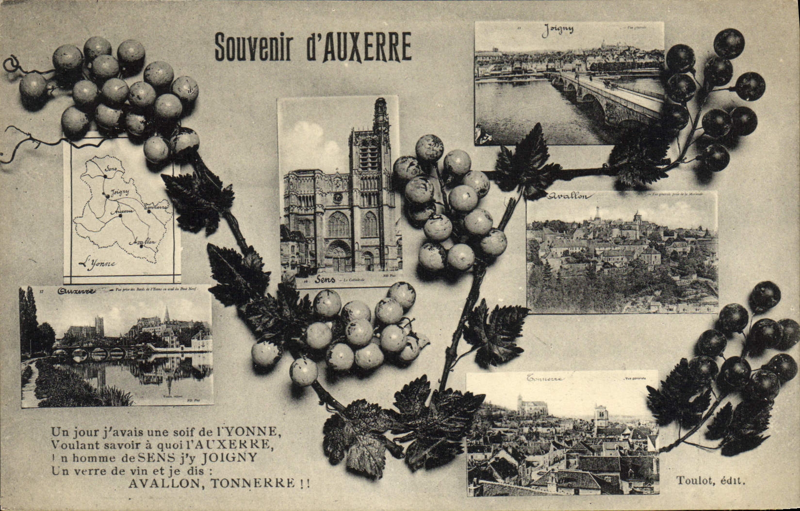 CPA Auxerre Souvenir Vignes Raisin Vignoble