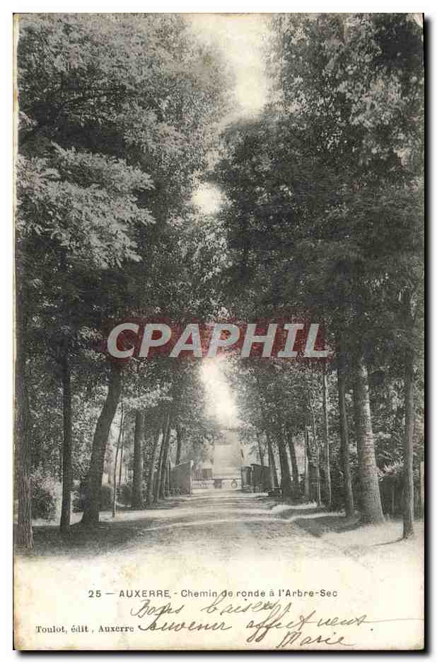 CPA Auxerre Chemin de Ronde a L'Arbre Sec