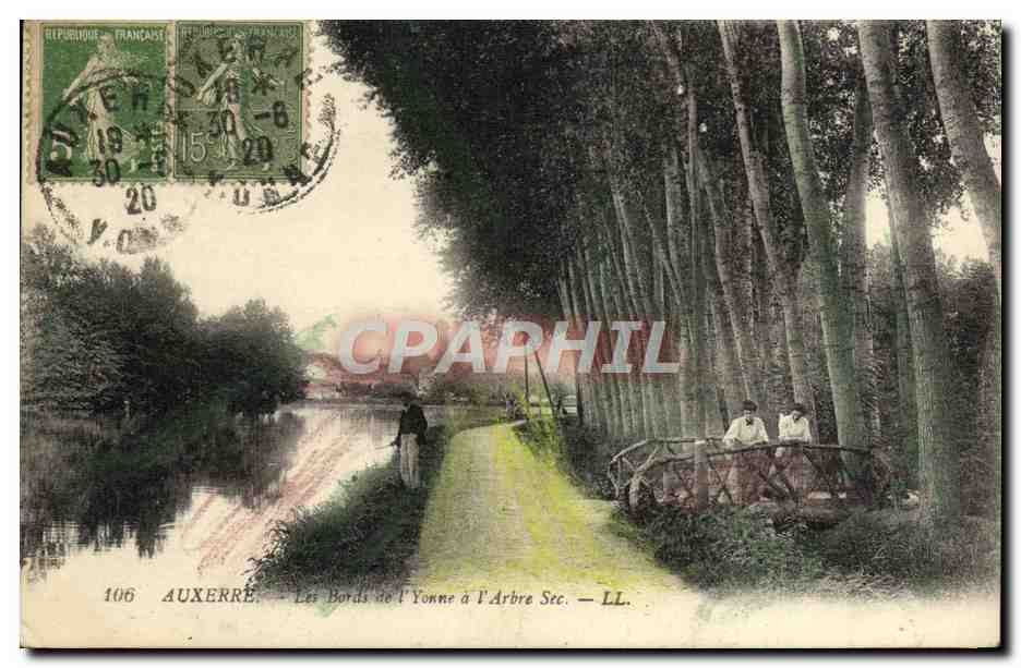 CPA Auxerre Les bords de l'Yonne a l'arbre sec