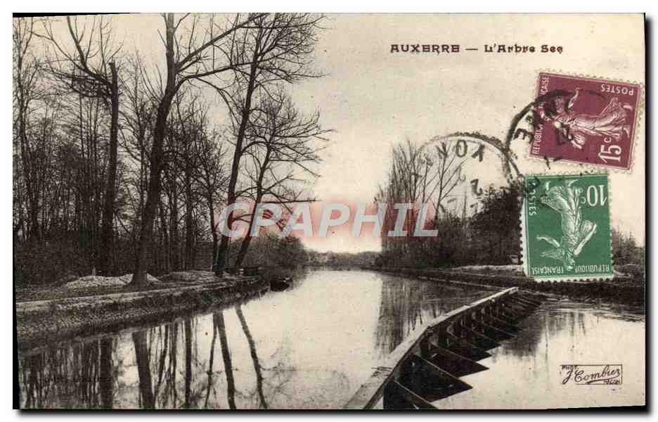 CPA Auxerre L'Arbre Sec