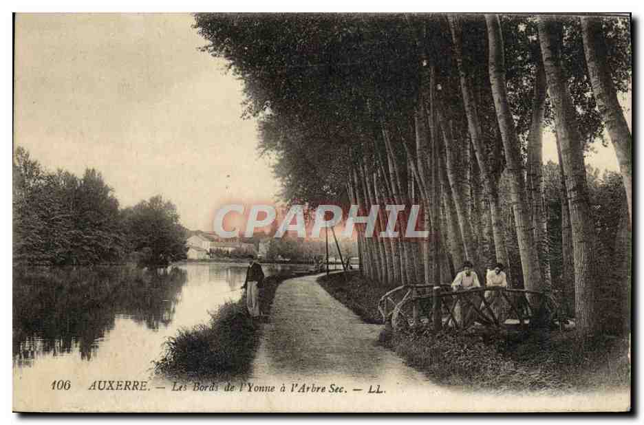 CPA Auxerre Les Bords De l'Yonne A l'Arbre Sec
