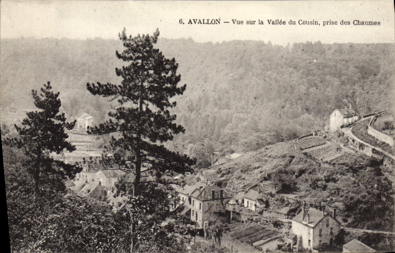 Avallon — Vue sur la Vallée du Cousin, prise des Chaumes