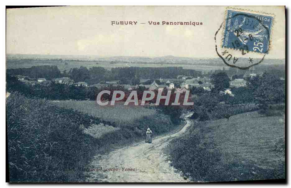 FLEURY — Vue Panoramique — M. Laroche, Yonne