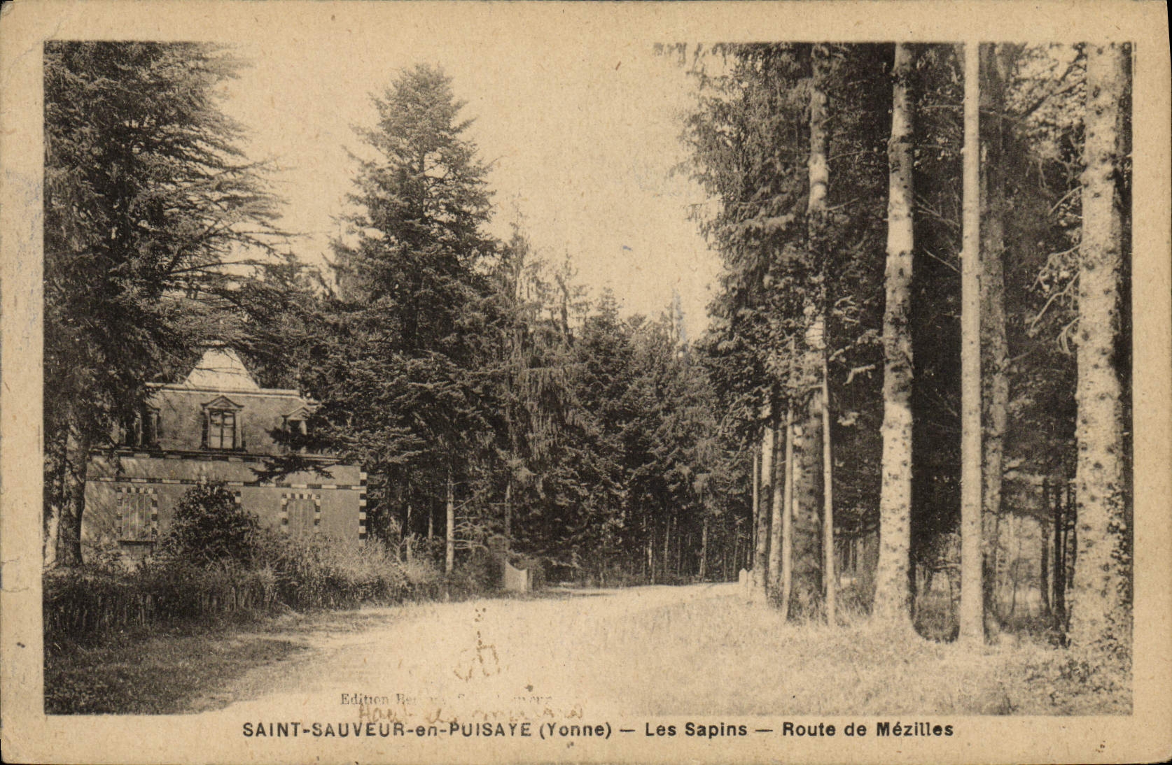 CPA Saint Sauveur en Puisaye Les Sapins Route de Mezilles