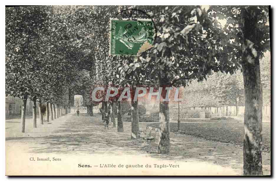Sens — L'Allée de gauche du Tapis-Vert — Cl. Ismaël, Sens