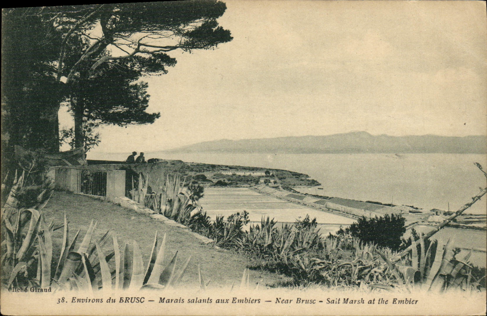 CPA Environs Du Brusc Marais Salants Aux Embiers