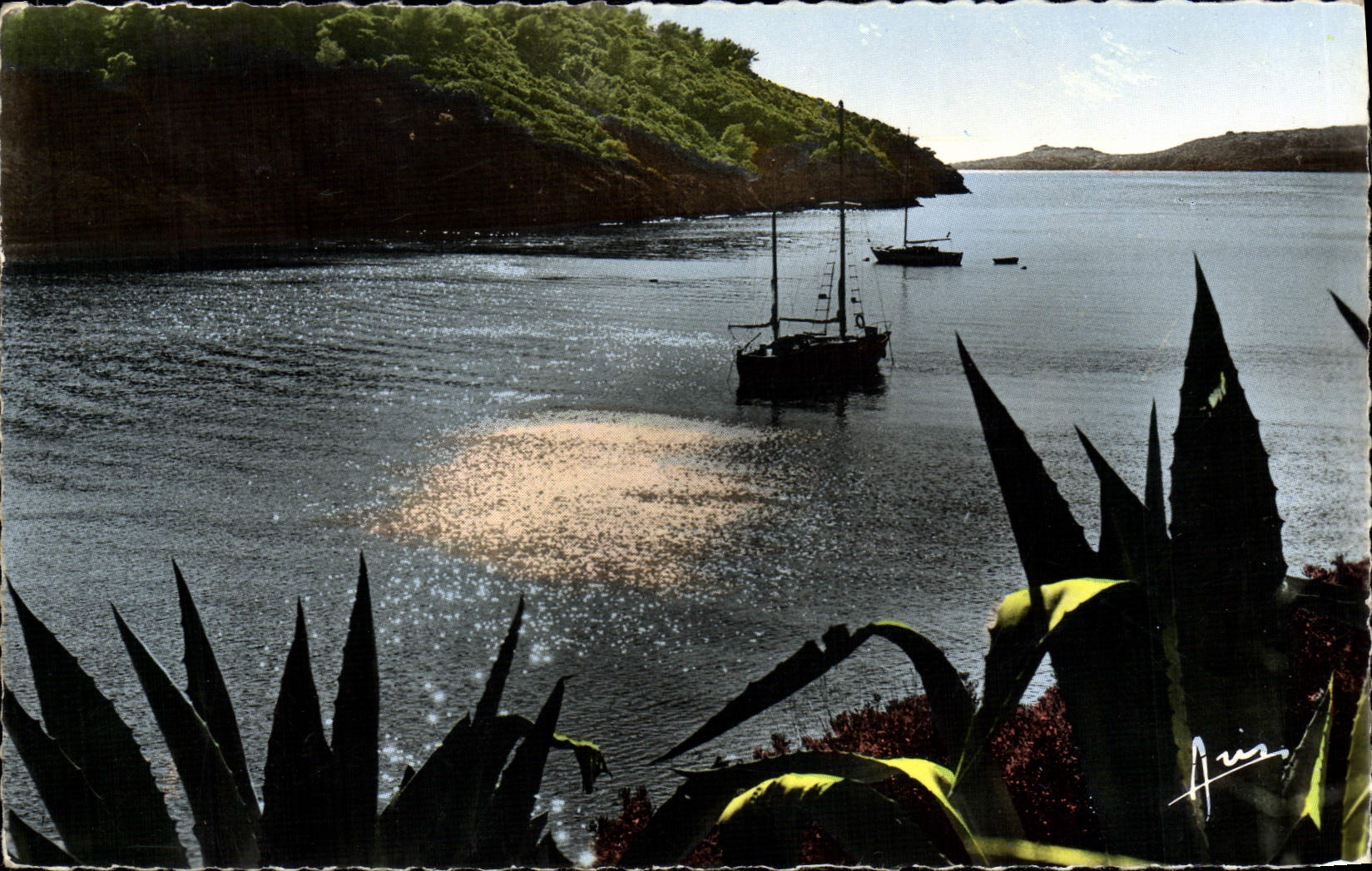 CPM Cote d'Azur Contre Jour Sur Les Iles d'Or