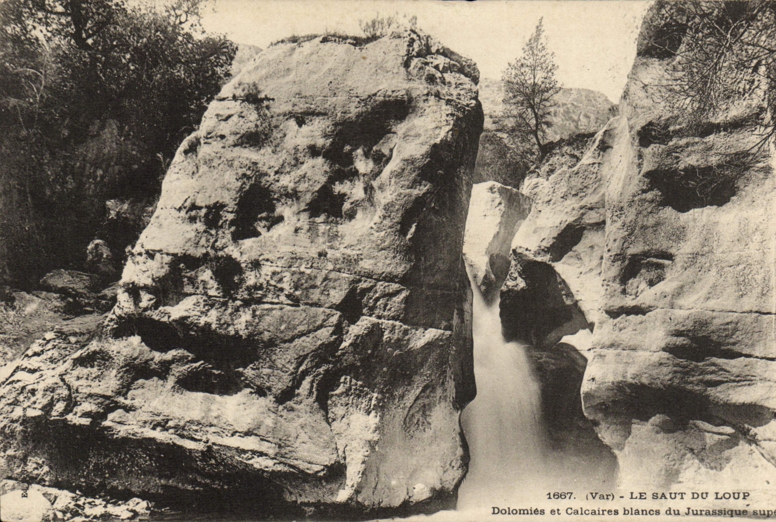 Le Saut du Loup — Dolomies et Calcaires blancs du Jurassique supérieur — (Var) — n° 1667