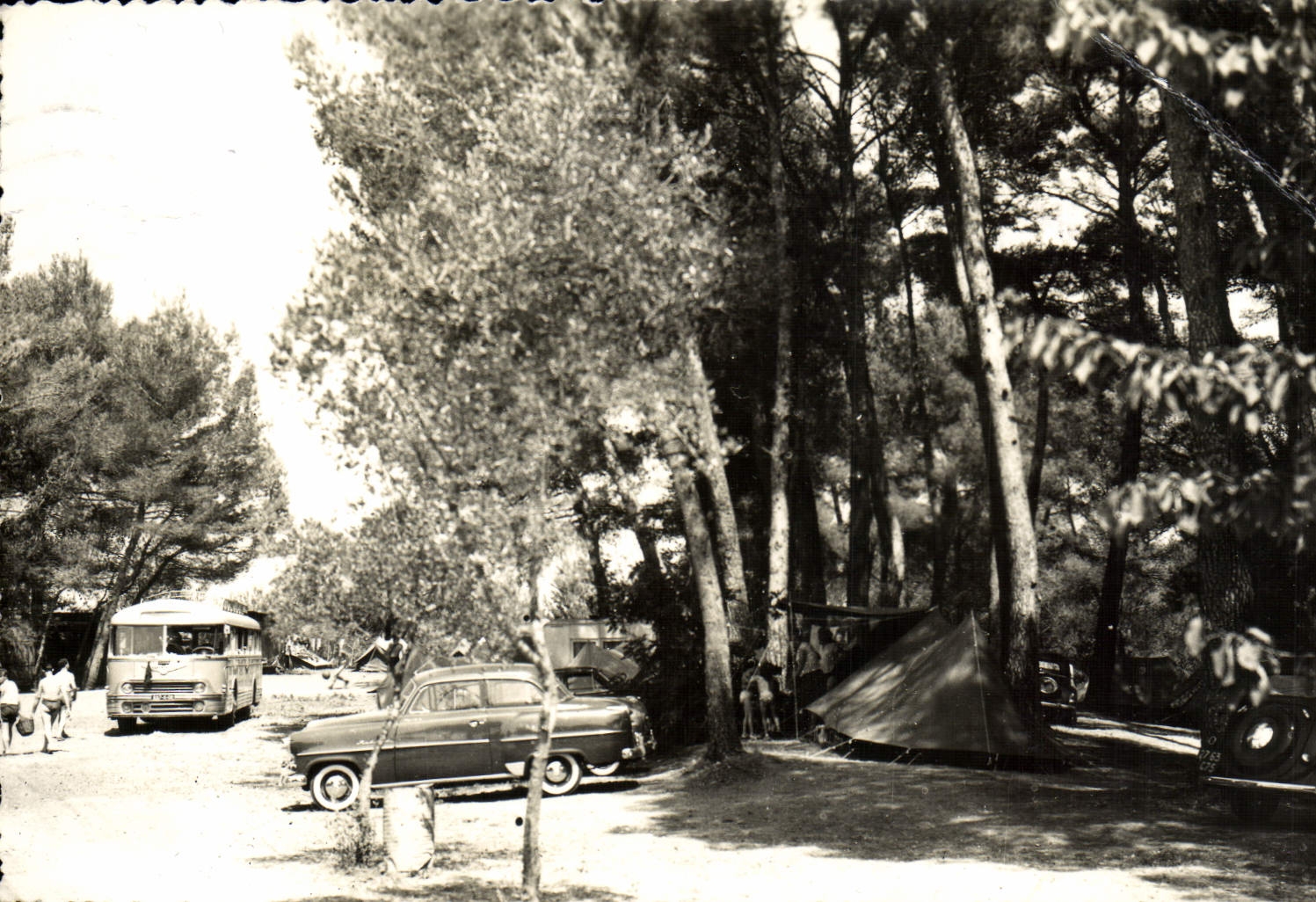 CPM Camping De La Marquise Avenue Maurice Chevaliar Cannes La Bacca