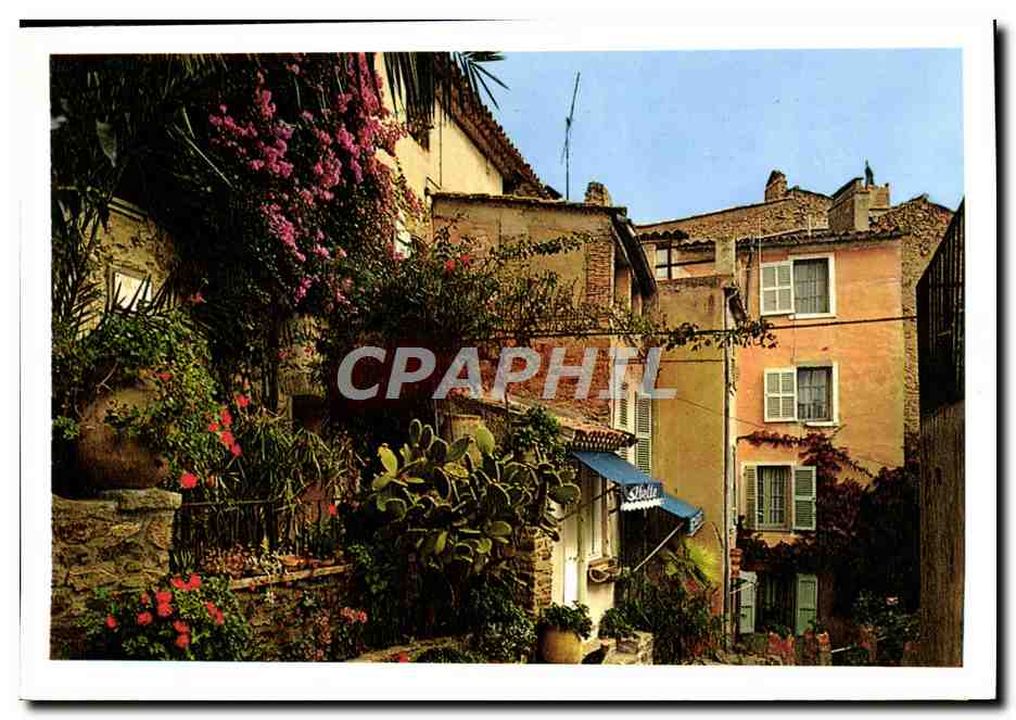 CPM La Cote d'Azur Bormes Les Mimosas Un Coin Pittoresque
