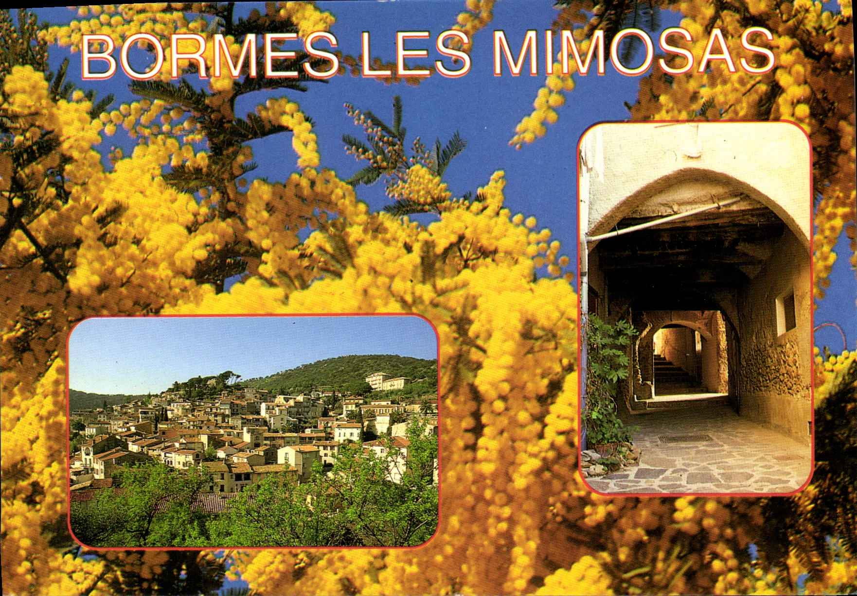 CPM La Cote d'Azur Bormes Les Mimosas