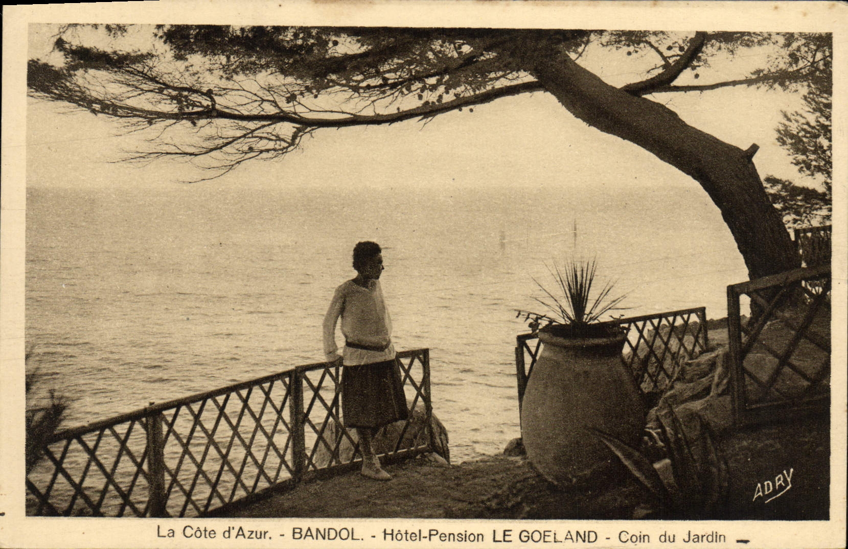 CPA La Cote d'Azur Bandol Hotel Pension Le Goeland Coin Du Jardin