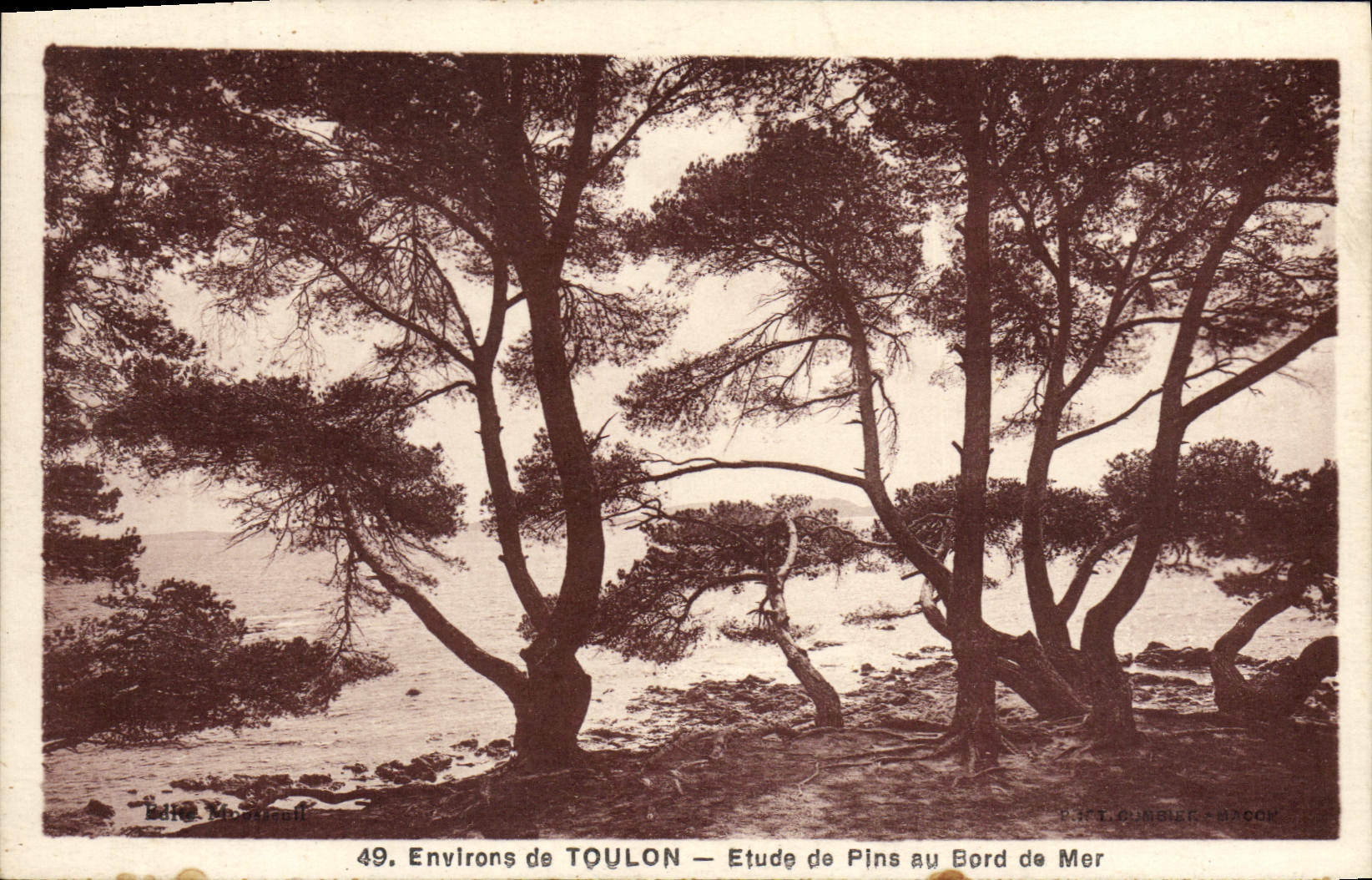 Environs de TOULON — Étude de Pins au Bord de Mer — Éditeur : P. DUMBLIER - BRACON