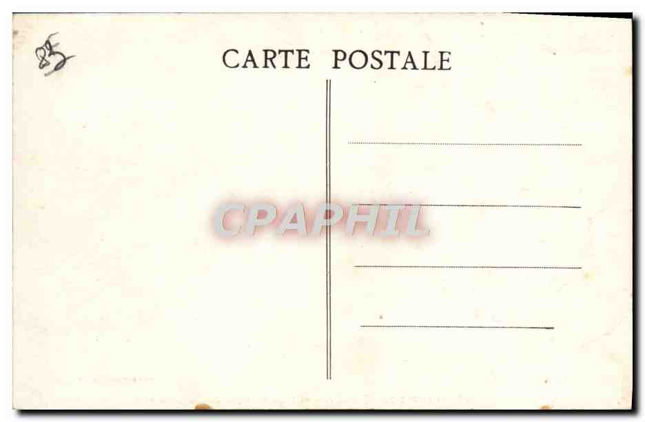 Environs de TOULON — Étude de Pins au Bord de Mer — Éditeur : P. DUMBLIER - BRACON — Reverso