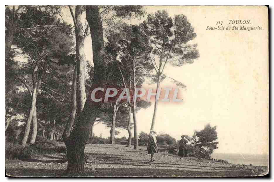 Toulon — Nadelwald von Ste Marguerite — Touloner Photographische Druckerei