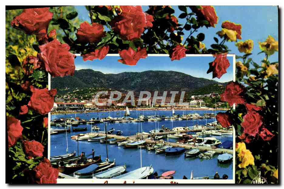 CPM La Cote d'Azur Cavalaire Sur Mer Le Port
