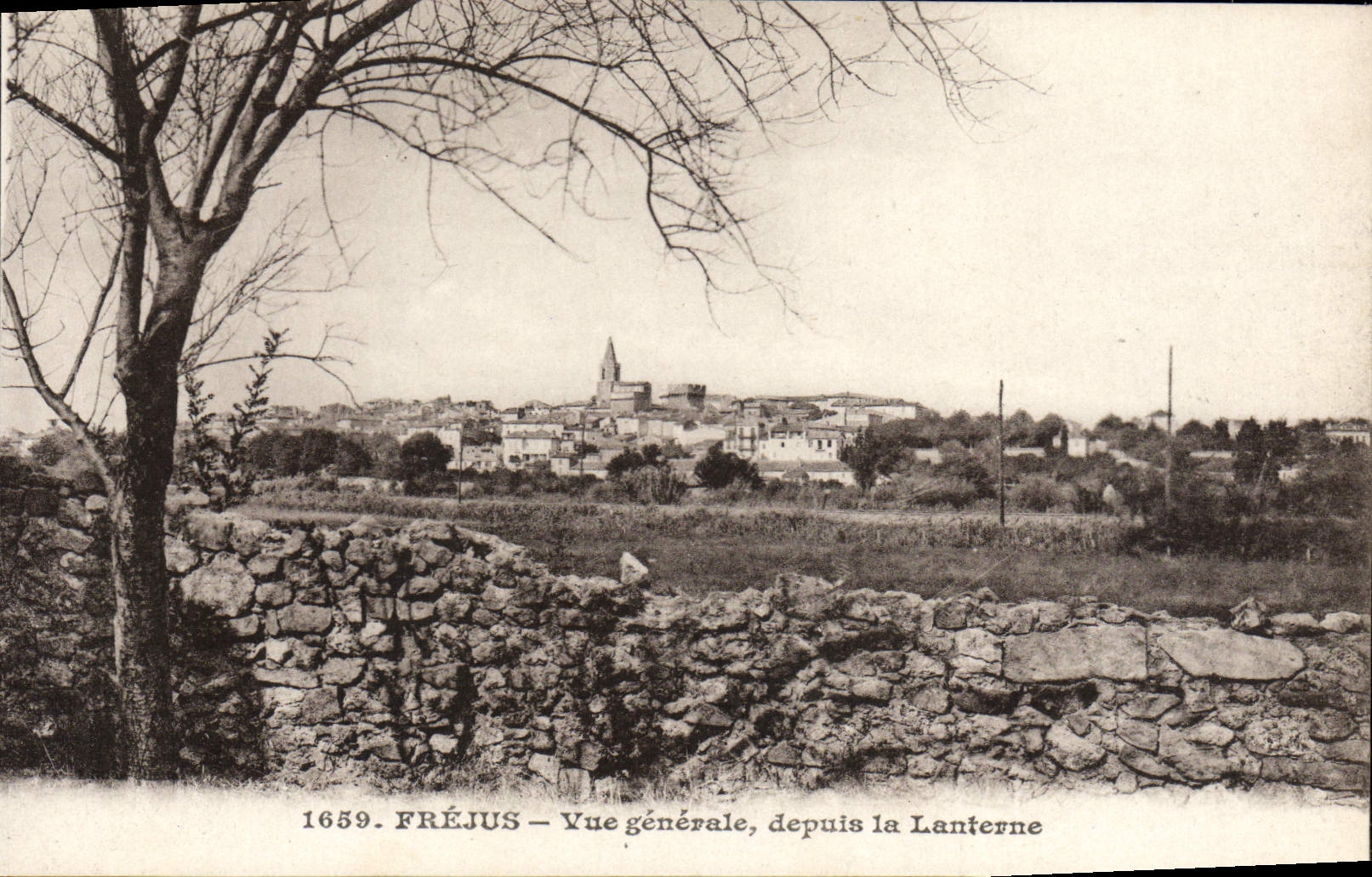 CPA Frejus Vue Generale depuis la Lanterne