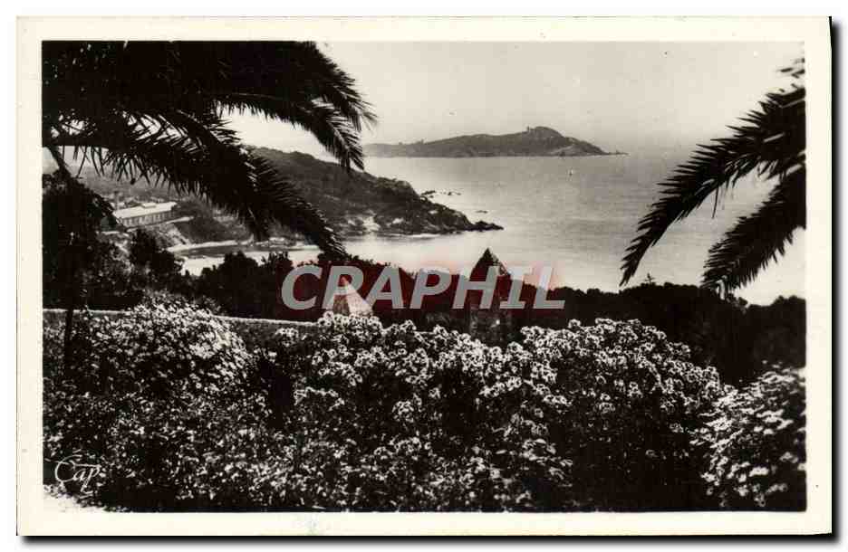 CPA Hyeres Les Palmiers Giens Vue Sur l'ile de Ribaud