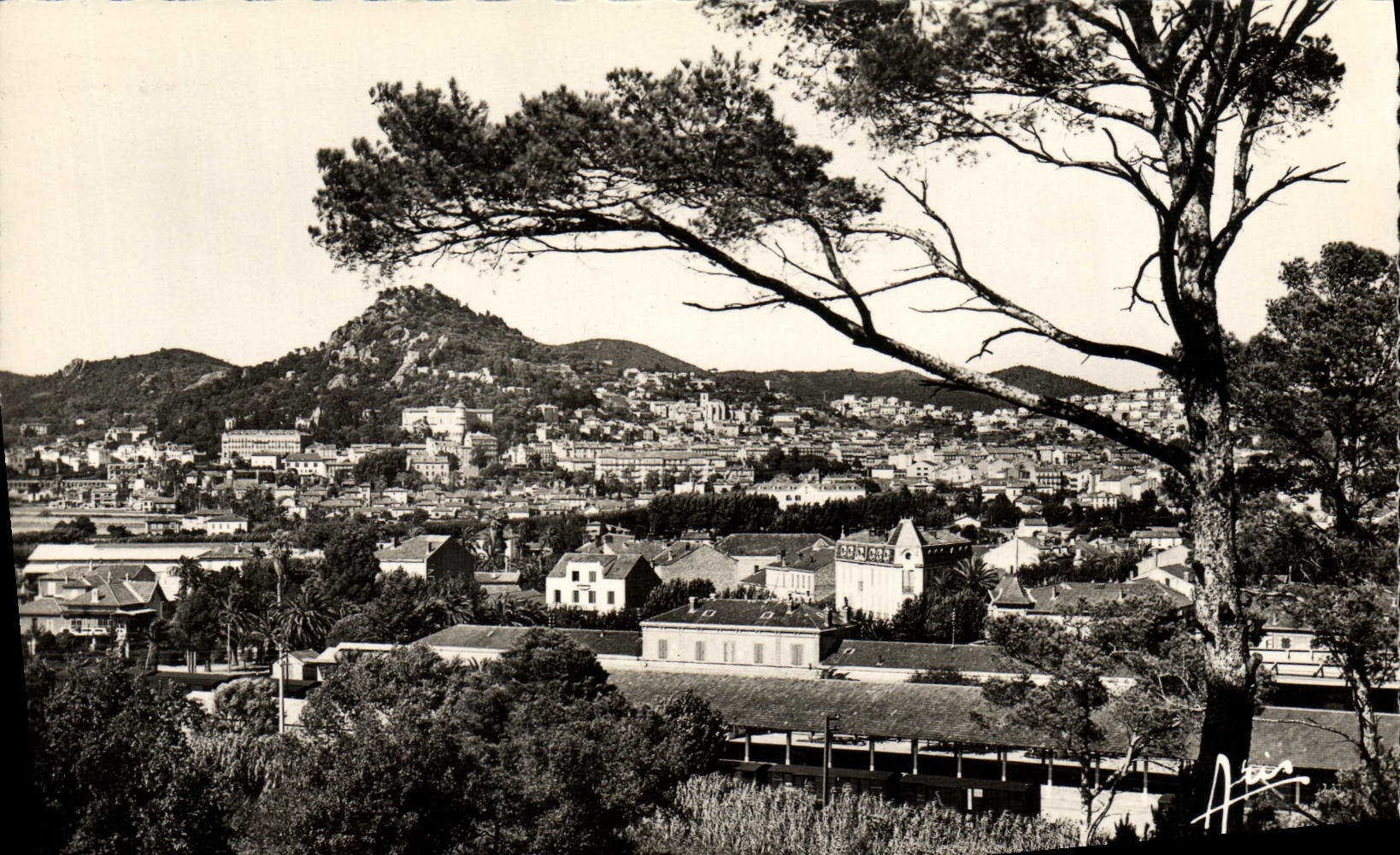 Hyères - Les Palmiers — Vue générale — Éditions ARIS