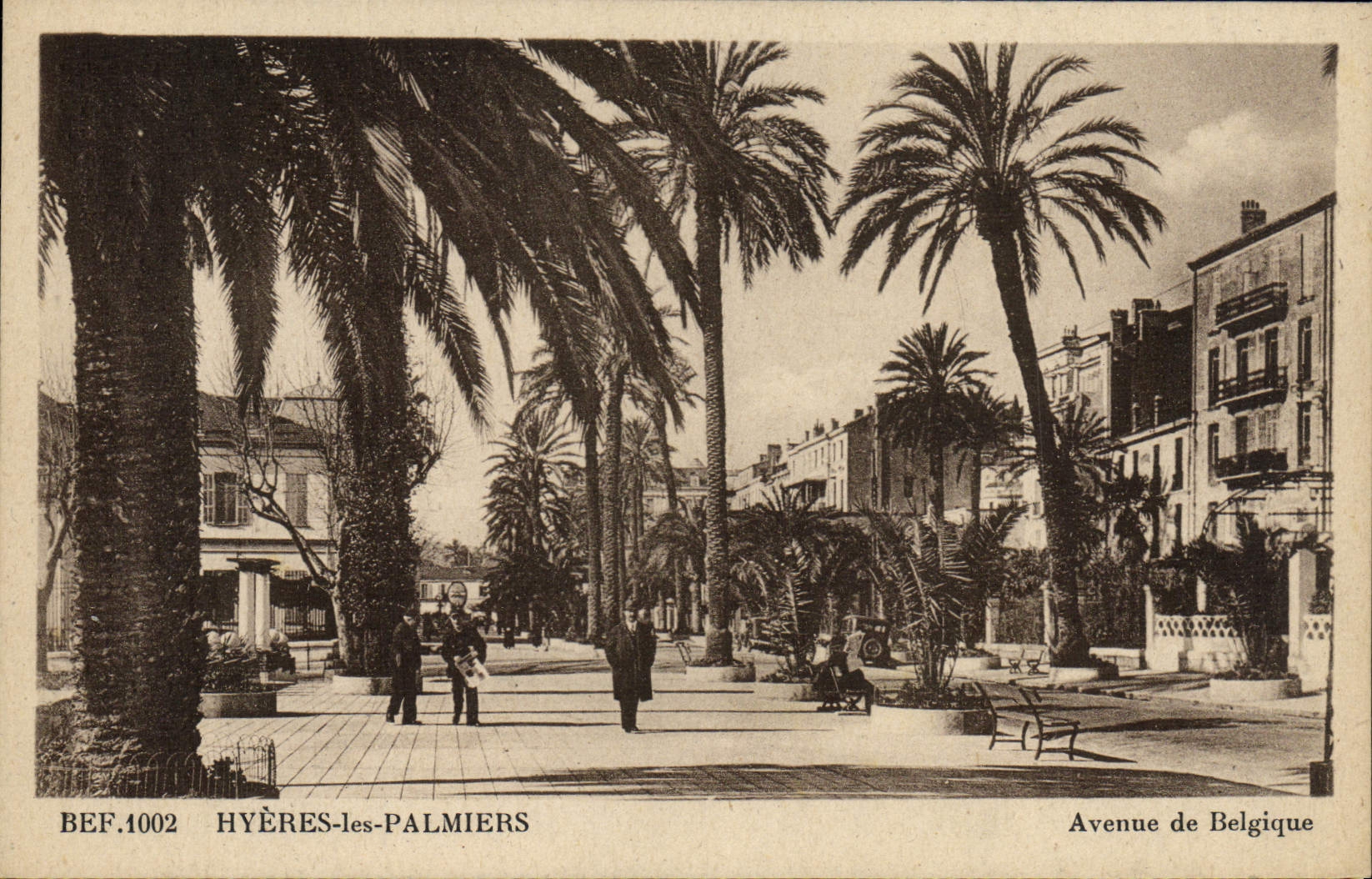 CPA Hyeres Les Palmiers Avenue de Belgique 