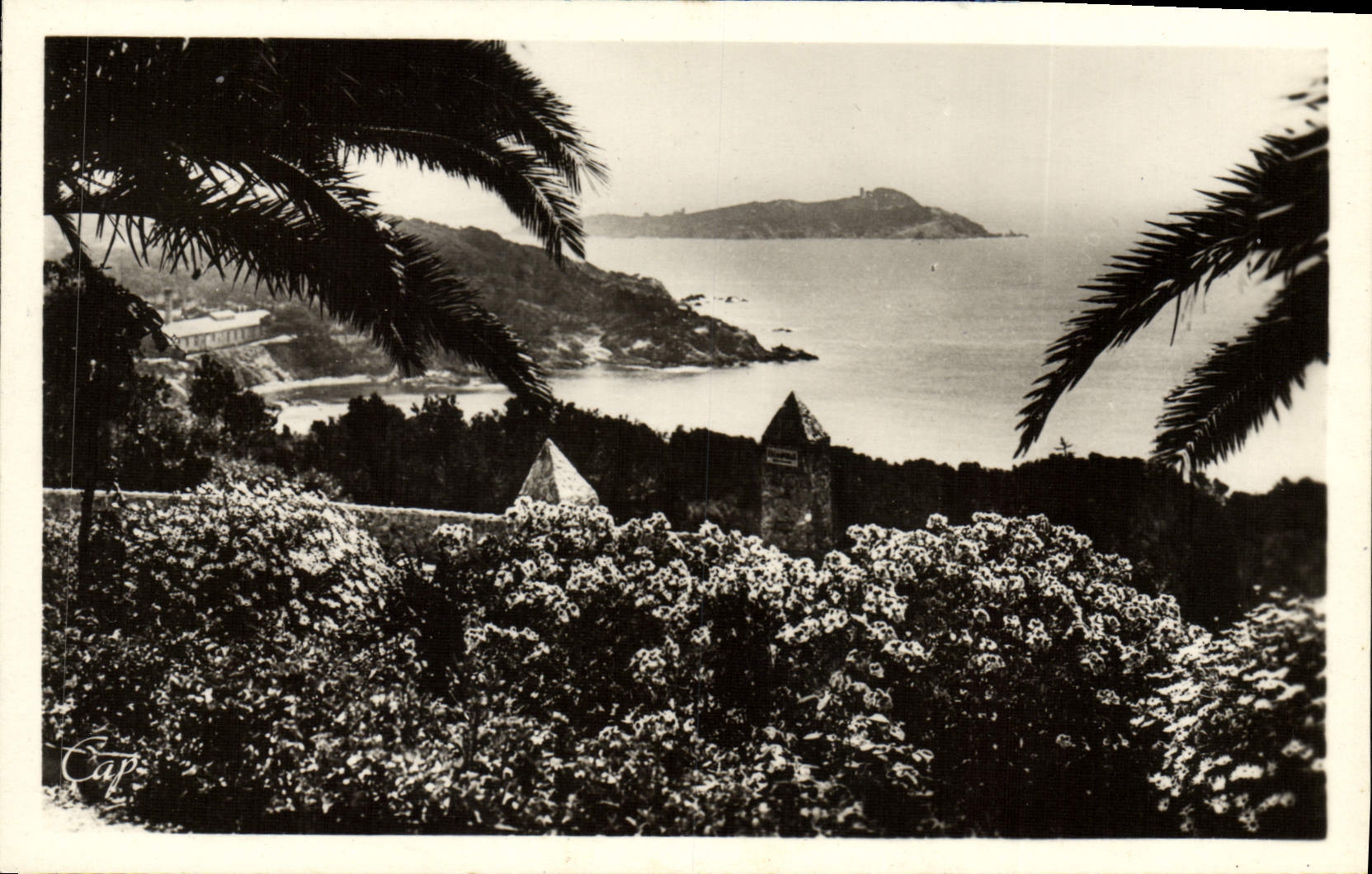 Vue sur l'île de Ribaud — Environs d'Hévéres-les-Palmiers - Giens — éditeur C.P. PARIS