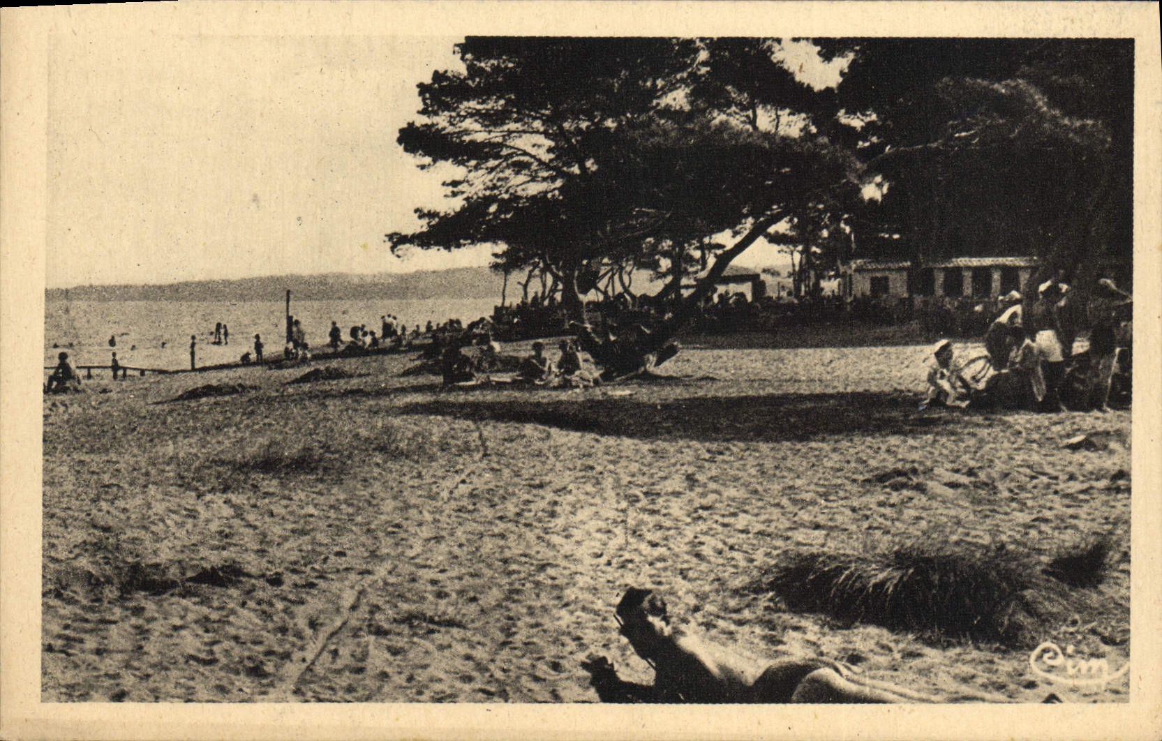 CPA Hyeres les Palmiers Plage et la Potiniere