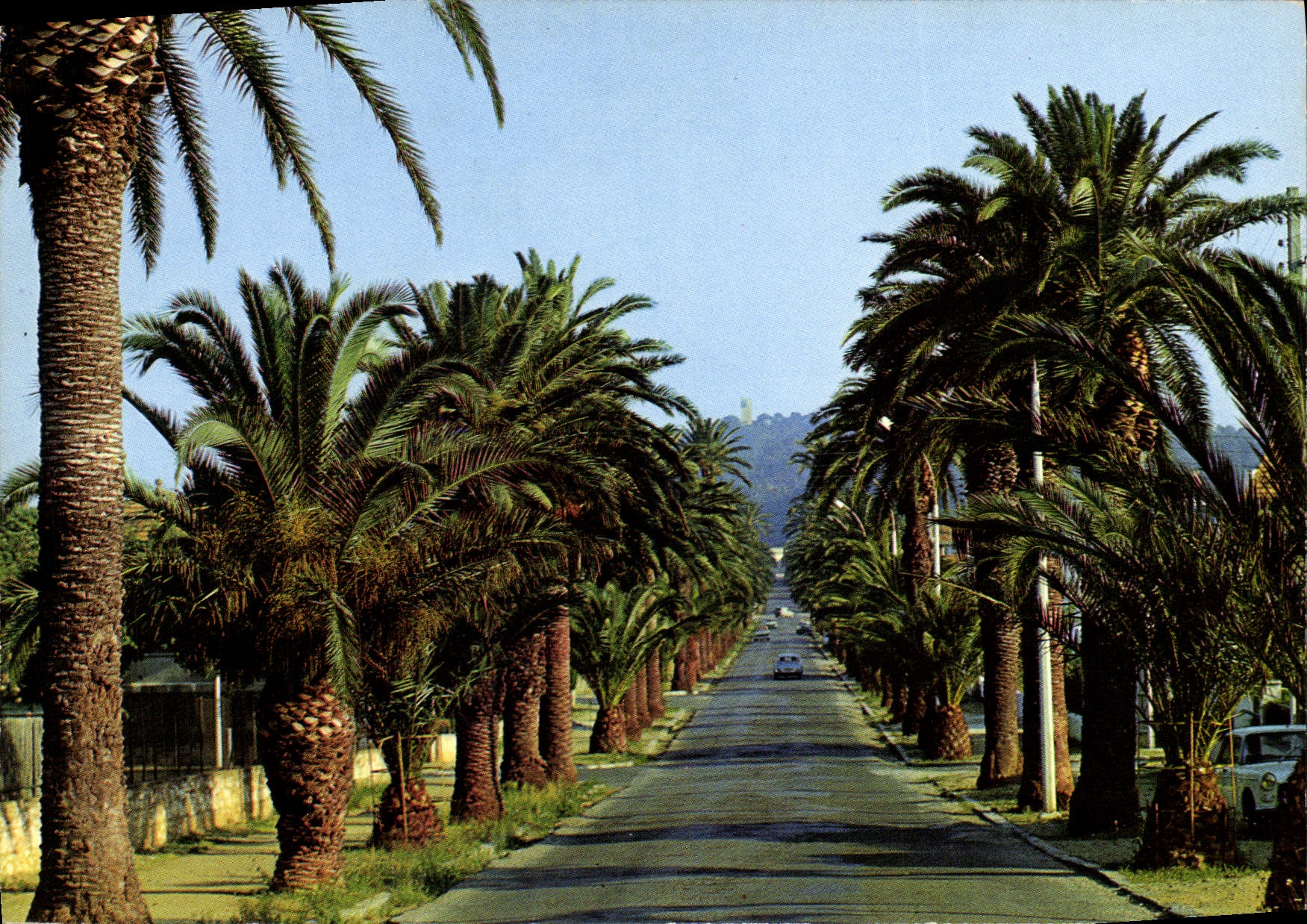 Soleil et Palmiers — Hyères-les-Palmiers (83, Var) — Éditeur : Couleurs Naturelles