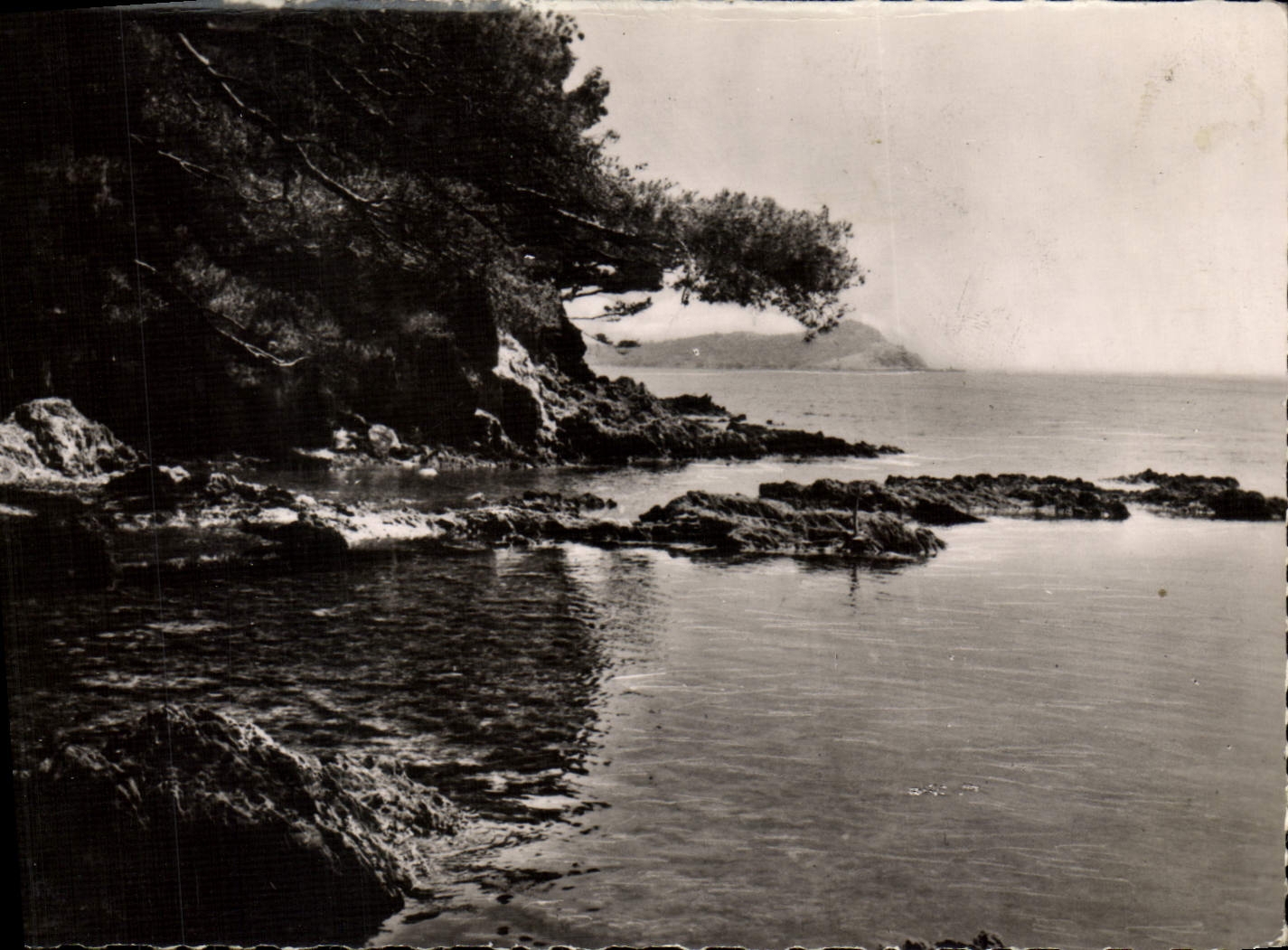 CPM Hyeres Porquerolles vu du Port du Niel
