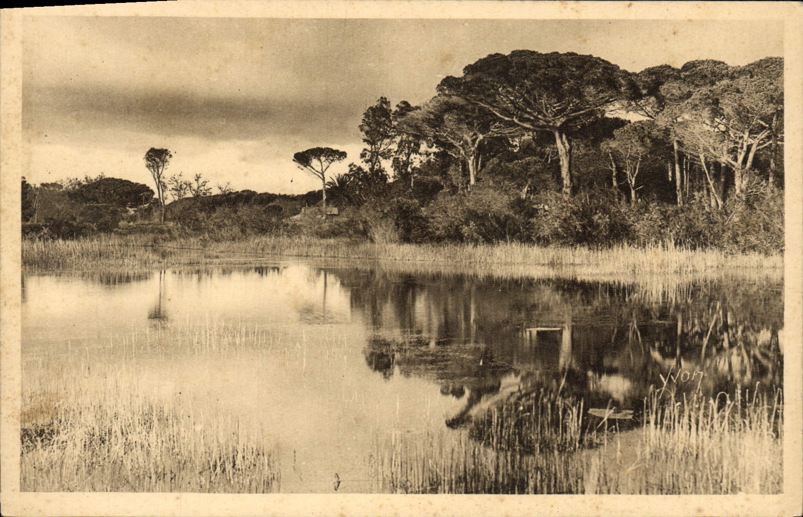HYÈRES - Paisaje en la Route de la Plage — Les Éditions d'Art YVON, París, n°19/336
