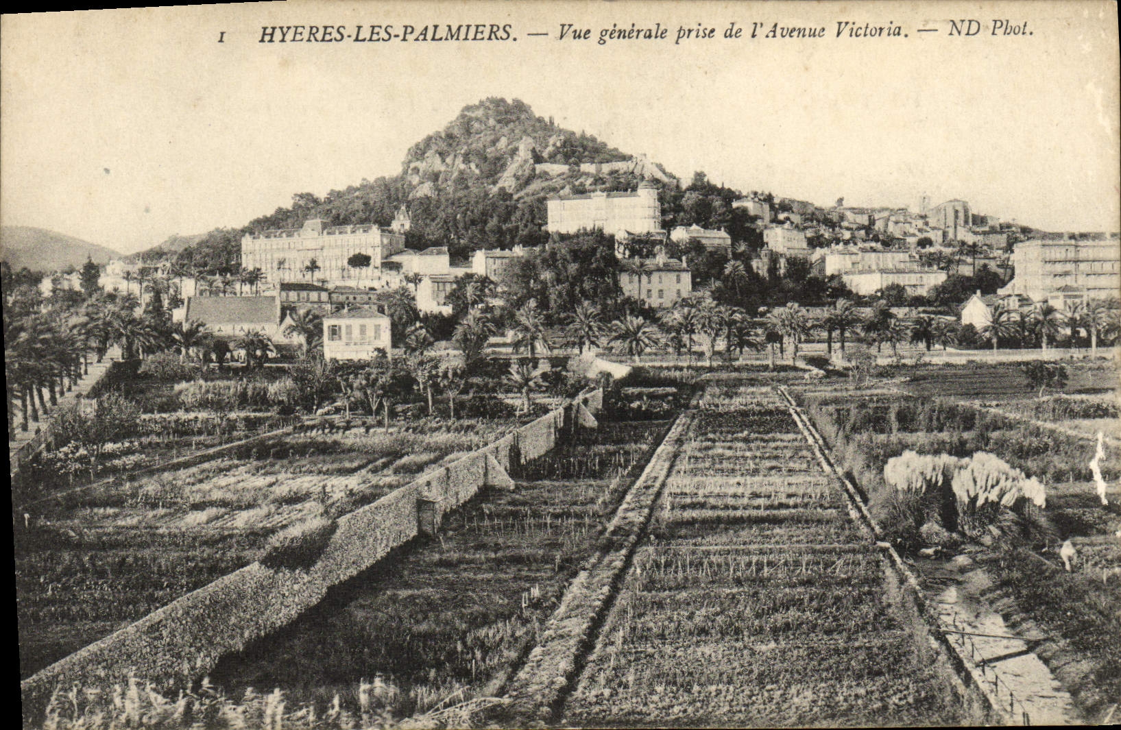Hyères-les-Palmiers — Vue générale prise de l'Avenue Victoria — ND Phot.