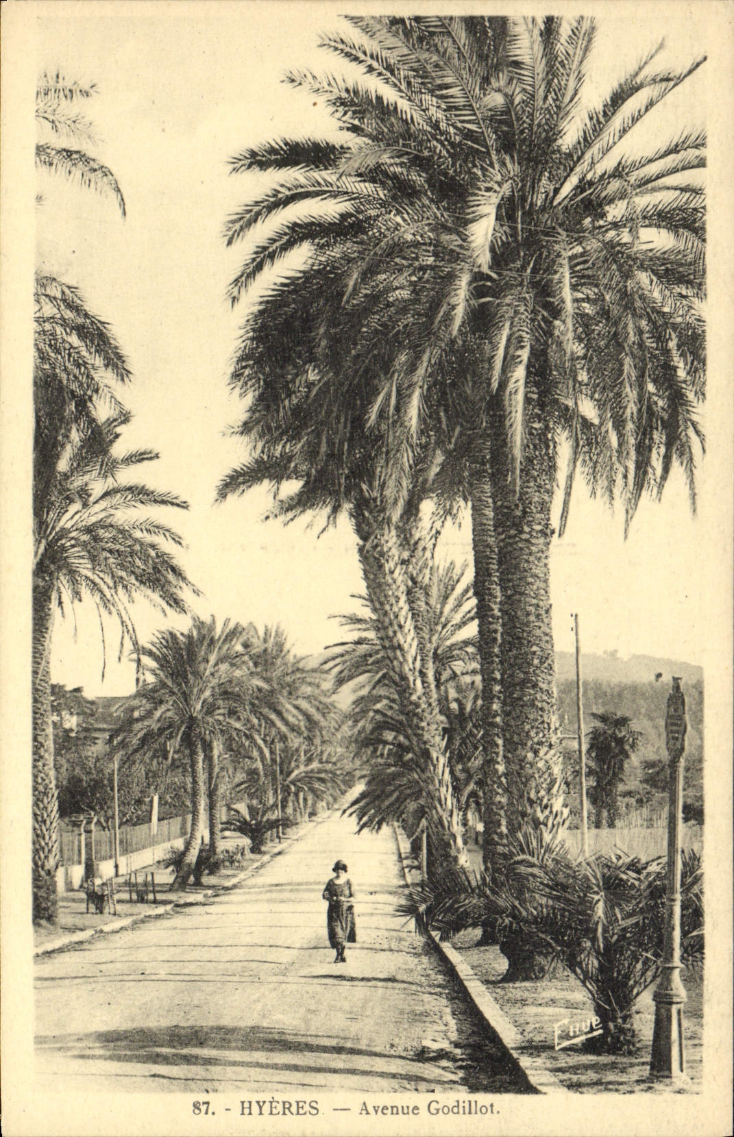 Hyères — Avenue Godillot — vue d'une avenue bordée de palmiers