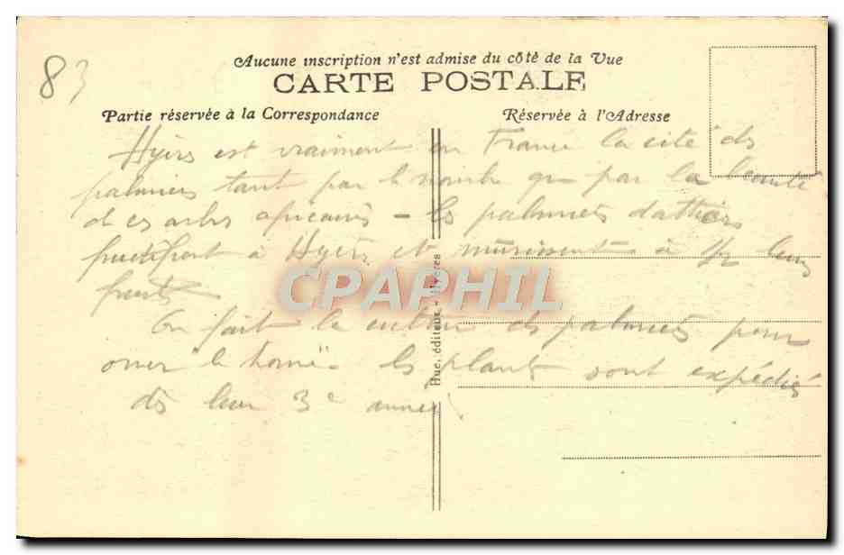 Hyères — Avenue Godillot — vue d'une avenue bordée de palmiers — Verso