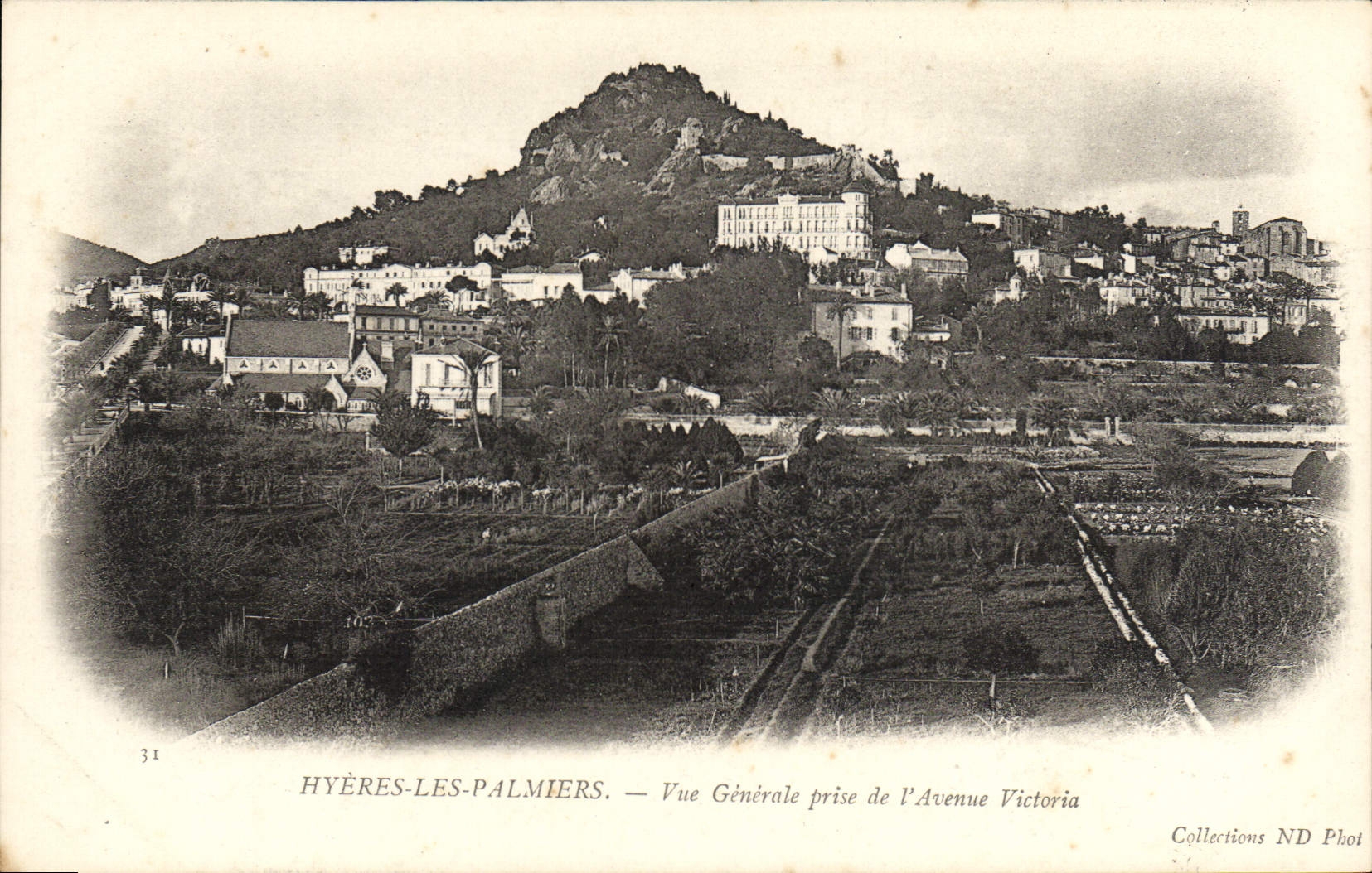 Hyères-les-Palmiers — Vue Générale prise de l'Avenue Victoria — Collections ND Phot