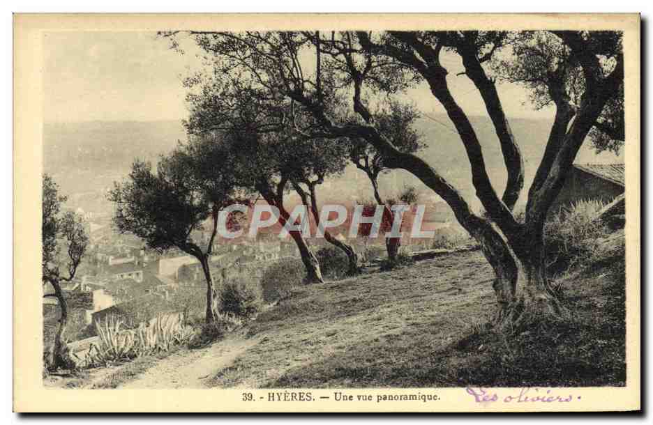 Hyères — Une vue panoramique — Les oliviers — Huc, éditeur Hyères, n°39